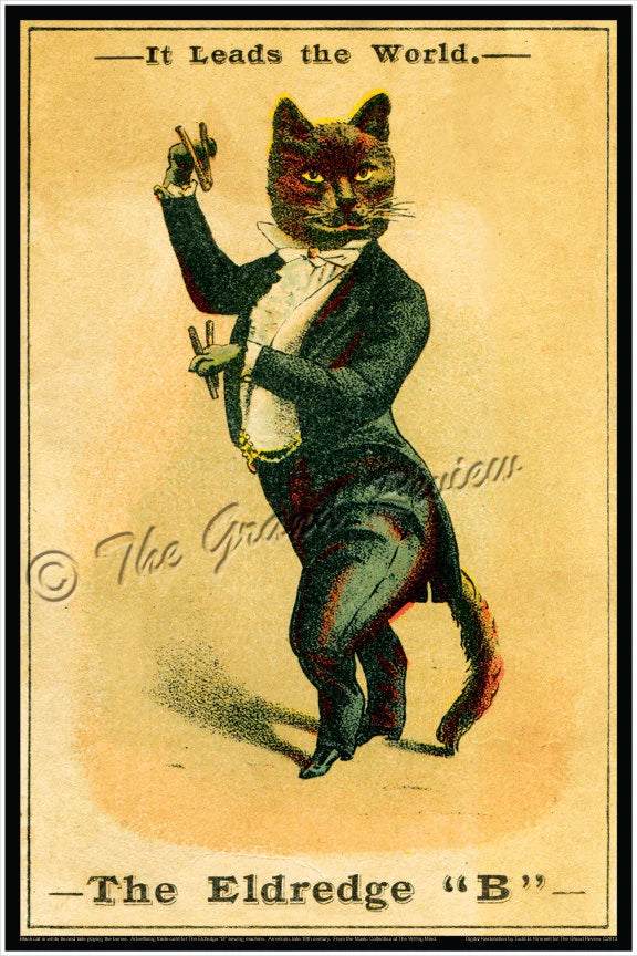 Antique Cat Print - Formal Cat In White Tie And Tails - Playin The Bones - Rhythm Bones