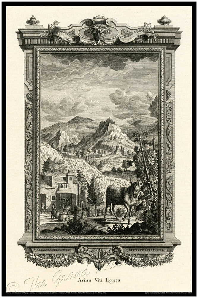 Wine - Ass - The Blood Of The Grape - Wine Spo-Dee-O-Dee - Biblical Print - Scheuchzer - Physica Sacra 1731-1735 - Classical Latin Version