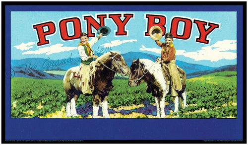 Pony Boy Print - A Tribute To THE OUTSIDERS - Vintage Western Wear - Robert Frost - Pharrell Hat - Chincoteague Long Hair Ponies - Ponyboy