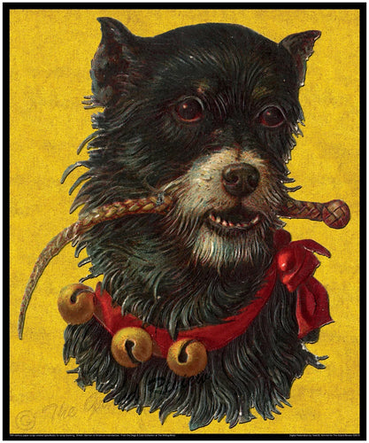 Norwich, Cairn or Mixed Terrier? Large Antique Dog Print - RIDING CROP DOGGIE - Victorian Era Paper Scrap with character and visual pop!