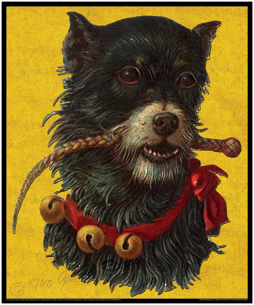 Norwich, Cairn or Mixed Terrier? Large Antique Dog Print - RIDING CROP DOGGIE - Victorian Era Paper Scrap with character and visual pop!