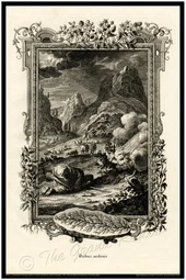 Moses on Mount Horeb - The Burning Bush - Biblical Print - Scheuchzer - Physica Sacra 1731-1735 - Classical Latin Version